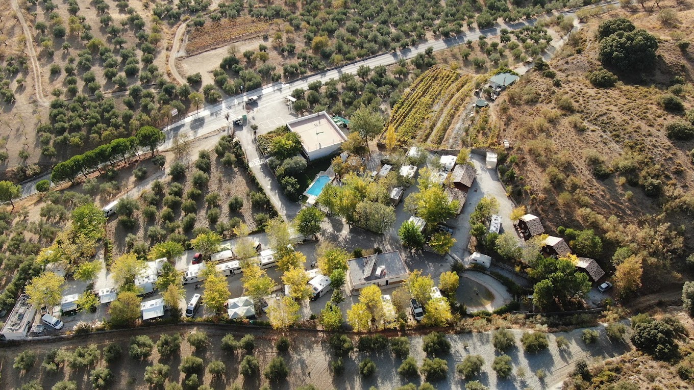 DJI_0894